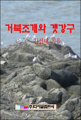 거북조개와 갯강구