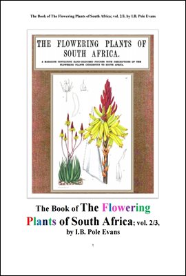 남아프리카 공화국의 꽃을 피는 식물들 제2권.The Book of The Flowering Plants of South Africa; vol. 2/3by  Pole Evans