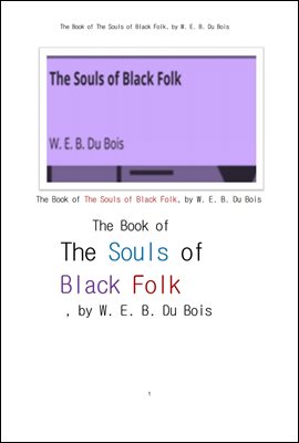 두 보이스의 흑인의 영혼. The Book of The Souls of Black Folk, by W. E. B. Du Boi