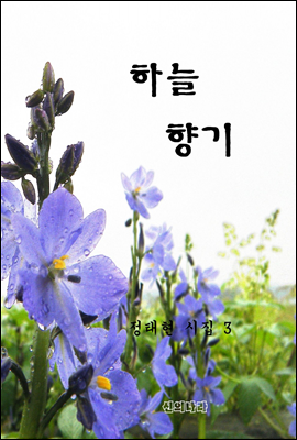 하늘 향기