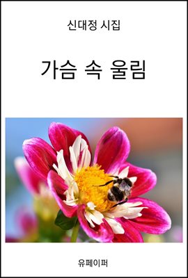 가슴 속 울림