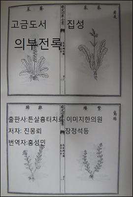 고금도서집성 의부전록 501권