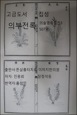 고금도서집성 의부전록 의술명류열전4 507권