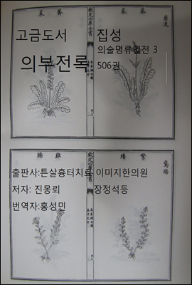 고금도서집성 의부전록 의술명류열전3 506권