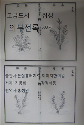 고금도서집성 의부전록 503권