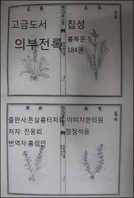 한의학 한방 고금도서집성 의부전록 흉복문 5 184권