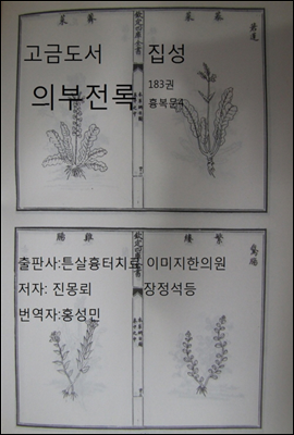 고금도서집성 의부전록 183