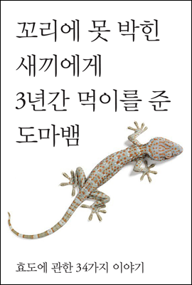 꼬리에 못 박힌 새끼에게 3년간 먹이를 준 도마뱀