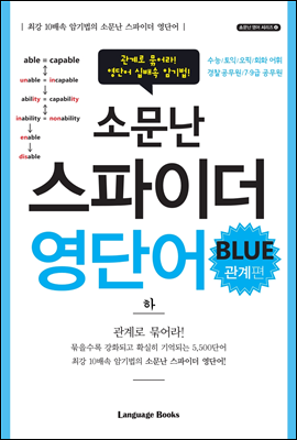 소문난 스파이더 영단어 blue 관계편 하