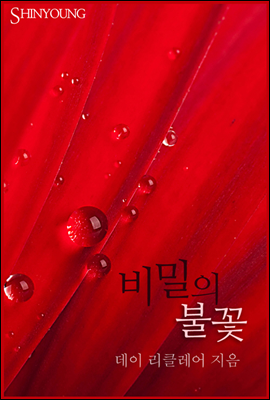 비밀의 불꽃