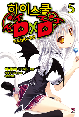 하이스쿨 DxD 5권