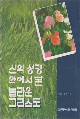 신약 성경 안에서 본 놀라운 그리스도