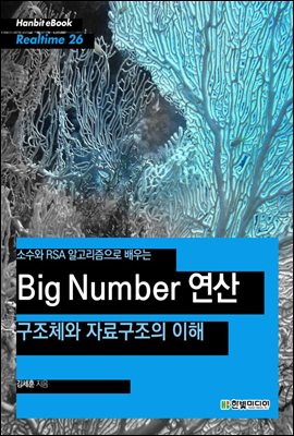 소수와 RSA 알고리즘으로 배우는 Big Number 연산 - Hanbit eBook Realtime 26