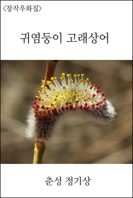 귀염둥이 고래 상어