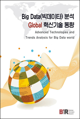 Big Data(빅데이타) 분석 Global 혁신기술 동향