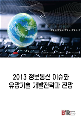 2013 정보통신 이슈와 유망기술 개발전략과 전망