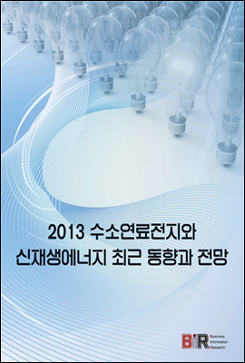 2013 수소연료전지와 신재생에너지 최근동향과 전망