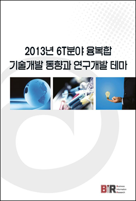 2013년 6T분야 융복합 기술개발 동향과 연구개발 테마