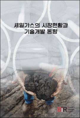 셰일가스의 시장현황과 기술개발 동향