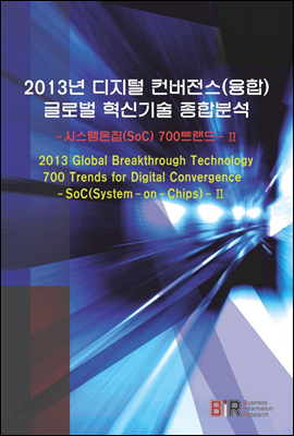 2013년 디지털컨버전스(융합) 글로벌 혁신기술 종합분석 (Ⅱ)