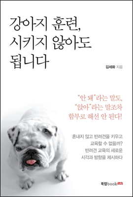 강아지 훈련, 시키지 않아도 됩니다