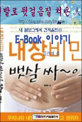 블로그 6  E Book 이야기