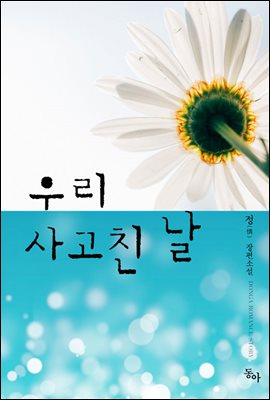 [합본] 우리 사고친 날 (전2권/완결)