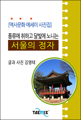 [역사문화 에세이 사진집] 풍류에 취하고 달빛에 노니는 서울의 정자