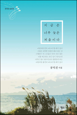 지금은 너무 늦은 처음이다 - 청어시인선 139