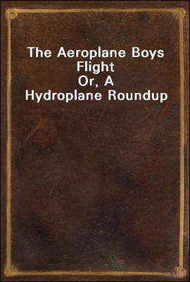 The Aeroplane Boys Flight<br/>Or, A Hydroplane Roundup