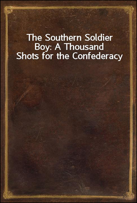 The Southern Soldier Boy