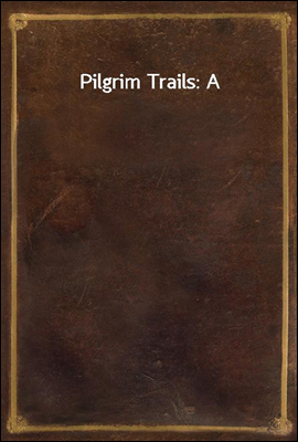 Pilgrim Trails