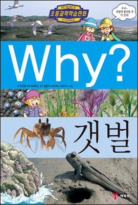 Why? 갯벌