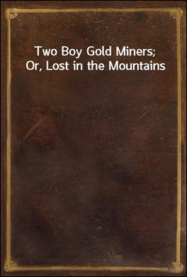 Two Boy Gold Miners; Or, Lost in the Mountains