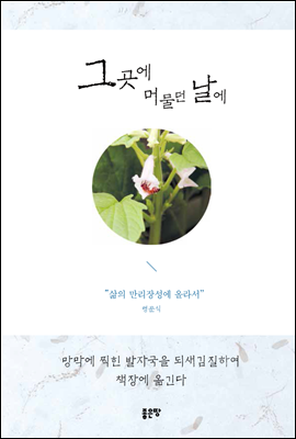 그곳에 머물던 날에