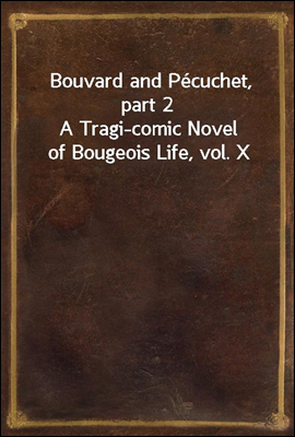 Bouvard and Pecuchet, part 2
A Tragi-comic Novel of Bougeois Life, vol. X