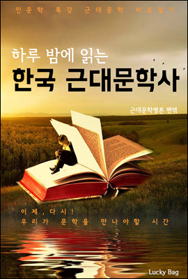하루 밤에 읽는 한국 근대문학사 (인문학 특강)