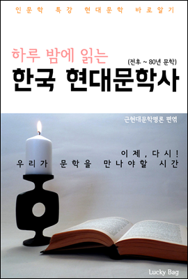 하루 밤에 읽는 한국 현대문학사 (인문학 특강