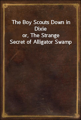 The Boy Scouts Down in Dixie
or, The Strange Secret of Alligator Swamp