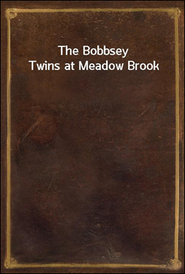 The Bobbsey Twins at Meadow Brook