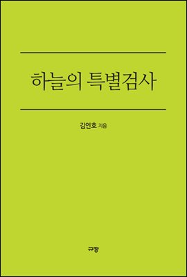 하늘의 특별검사