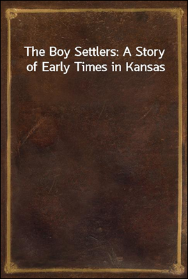 The Boy Settlers