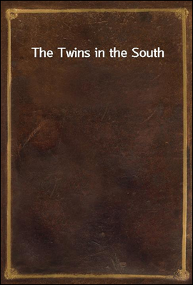 The Twins in the South