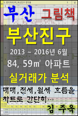 부산 부산진구 84,59㎡ 아파트 매매, 전세, 월세 실거래가 분석 (2013 ~ 2016.6월)