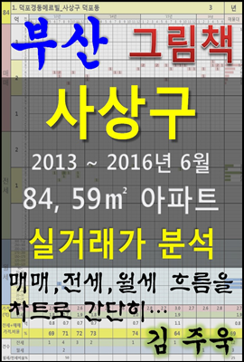 부산 사상구 84,59㎡ 아파트 매매, 전세, 월세 실거래가 분석 (2013 ~ 2016.6월)