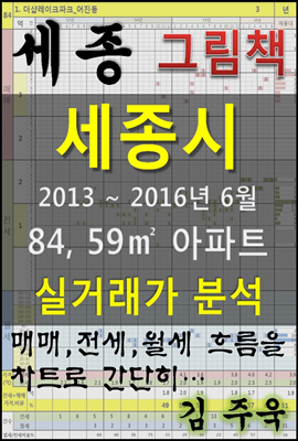 세종시 84,59㎡ 아파트 매매, 전세, 월세 실거래가 분석 (2013 ~ 2016.6월)