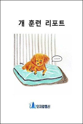 개 훈련 리포트