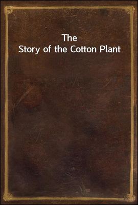 The Story of the Cotton Plant