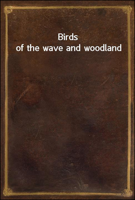 Birds of the wave and woodland