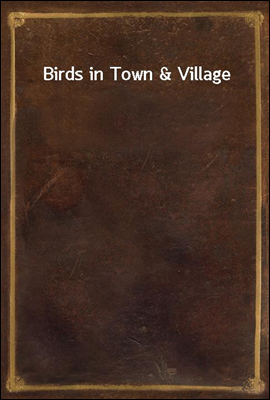 Birds in Town & Village